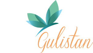 logo-img